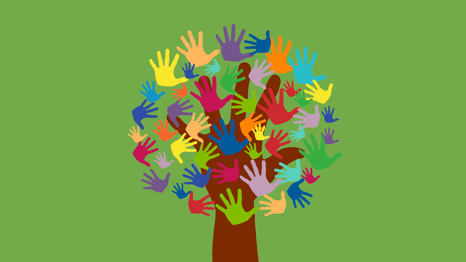 Frivillighetsseminar