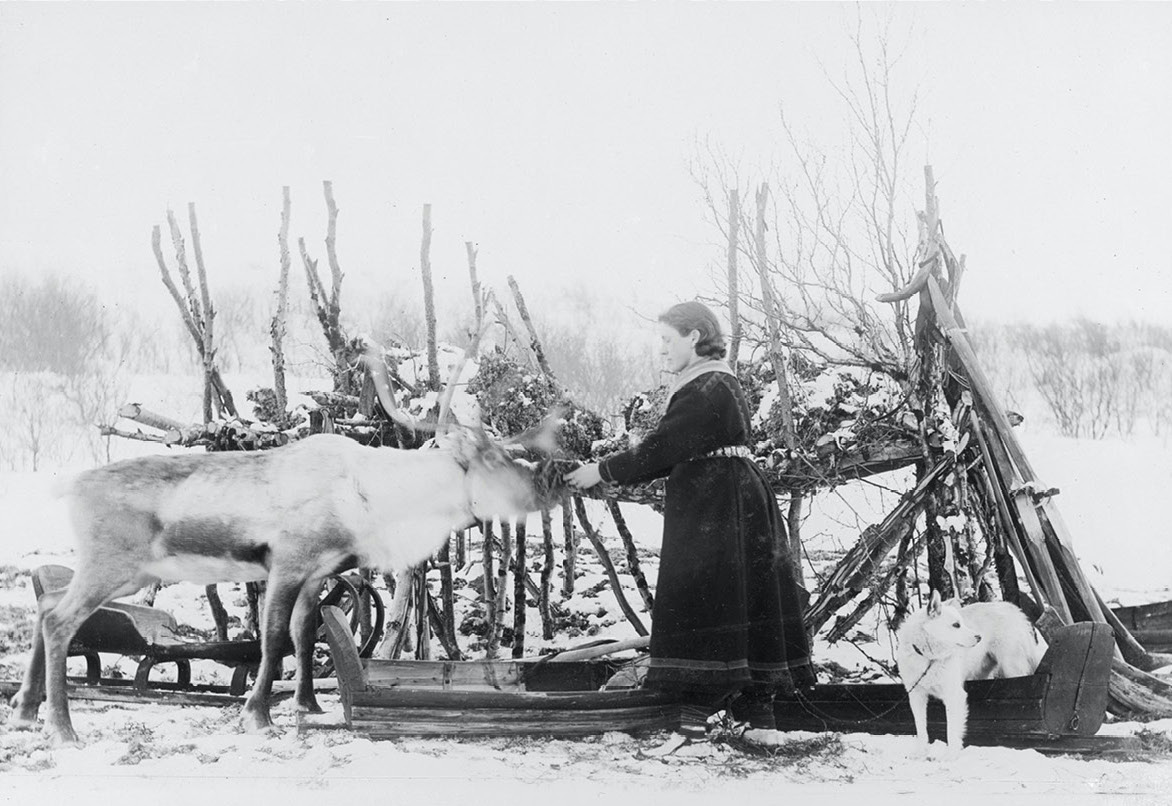 Ellisif Wessel - liv og virke i Grenseland