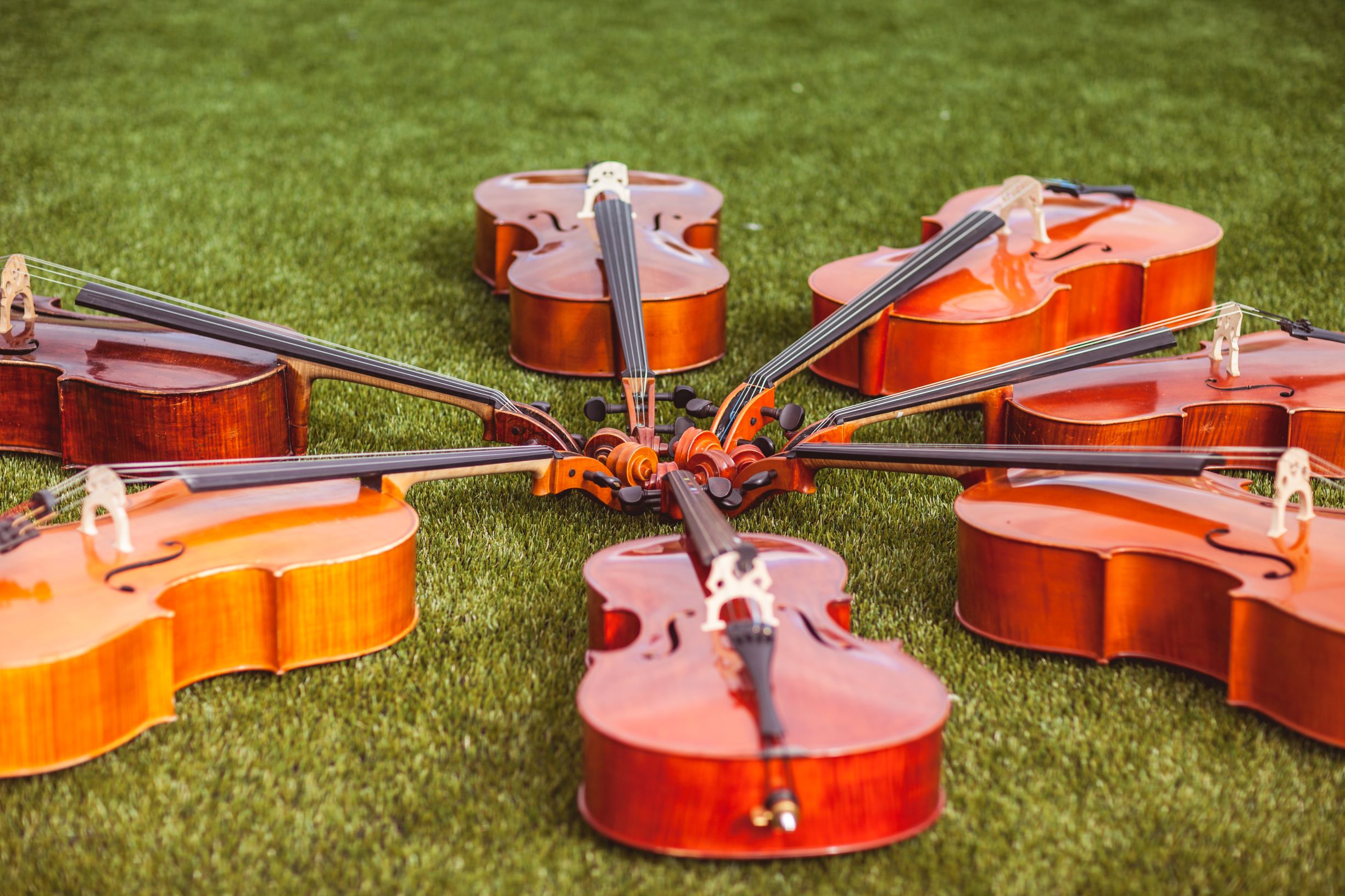 Cellolyd: CelloBassOrama