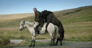 Laterna Magica: Om hester og menn