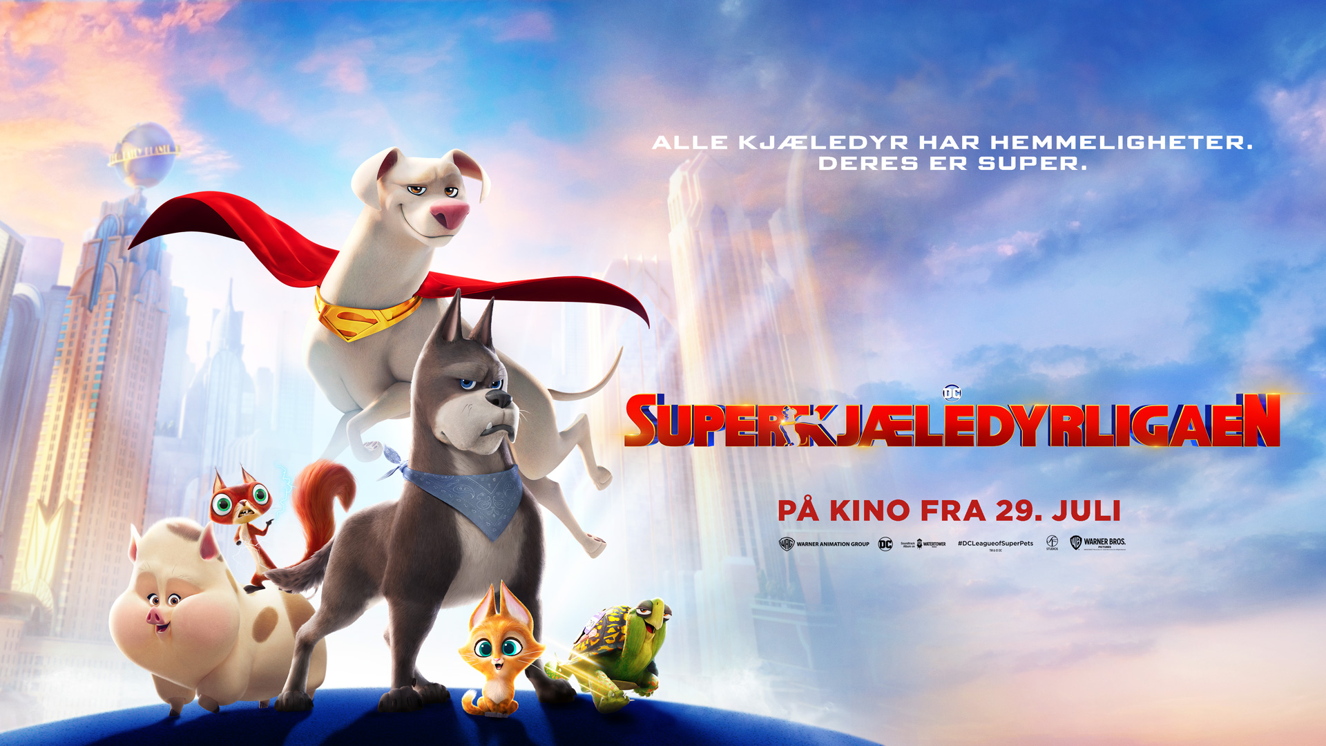 DC Super-kjæledyrligaen