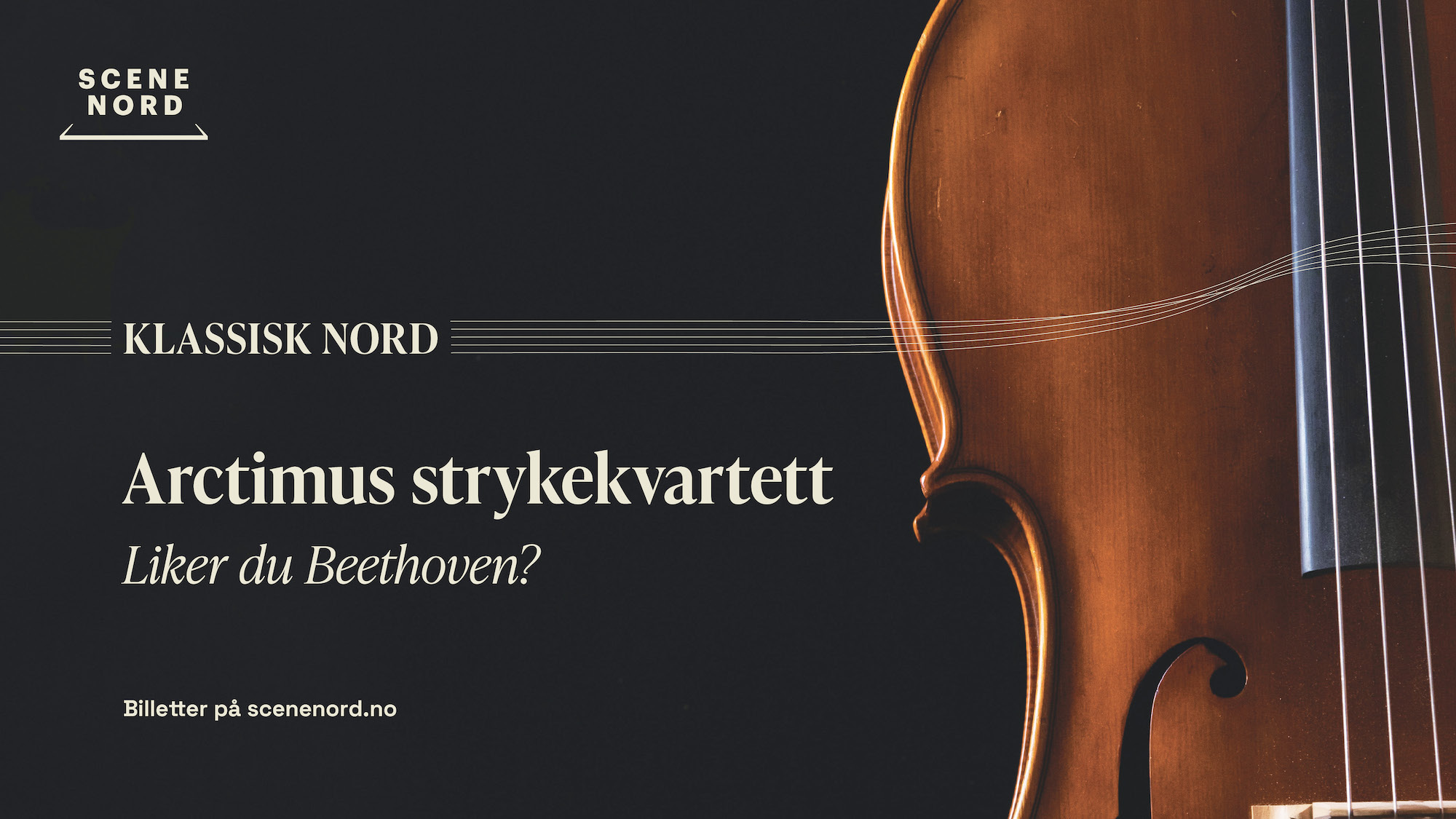 Arctimus strykekvartett: Liker du Beethoven?