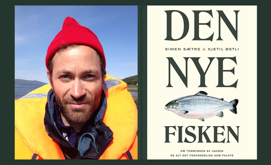 Den nye fisken